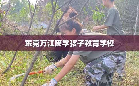 东莞万江厌学孩子教育学校