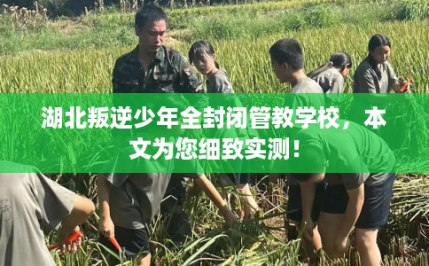 湖北叛逆少年全封闭管教学校，本文为您细致实测！