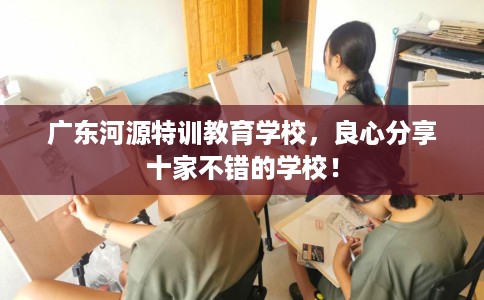 广东河源特训教育学校，良心分享十家不错的学校！