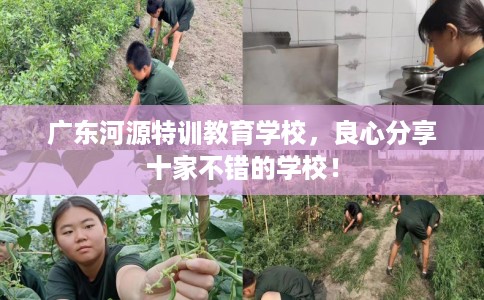 广东河源特训教育学校，良心分享十家不错的学校！