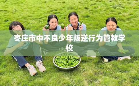 枣庄市中不良少年叛逆行为管教学校