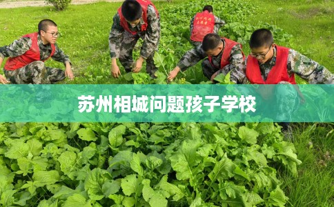 苏州相城问题孩子学校
