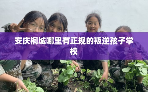 安庆桐城哪里有正规的叛逆孩子学校