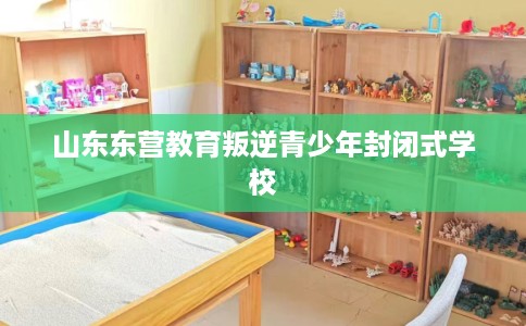 山东东营教育叛逆青少年封闭式学校