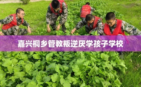 嘉兴桐乡管教叛逆厌学孩子学校