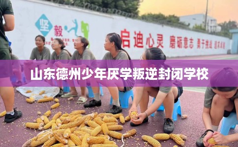 山东德州少年厌学叛逆封闭学校