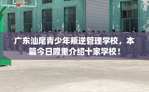 广东汕尾青少年叛逆管理学校，本篇今日隆重介绍十家学校！