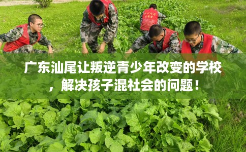 广东汕尾让叛逆青少年改变的学校，解决孩子混社会的问题！
