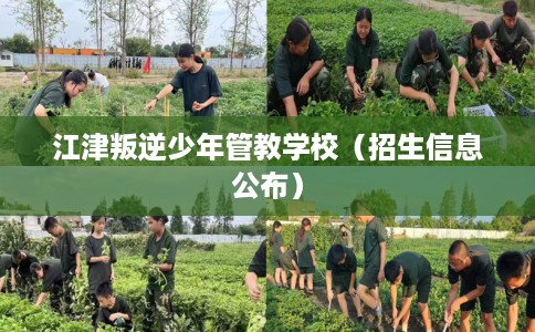 江津叛逆少年管教学校（招生信息公布）