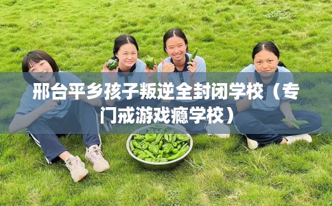 邢台平乡孩子叛逆全封闭学校（专门戒游戏瘾学校）