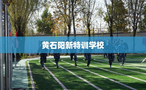 黄石阳新特训学校