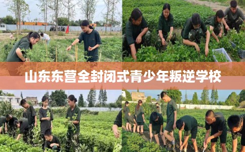 山东东营全封闭式青少年叛逆学校 山东东营全封闭式青少年叛逆学校