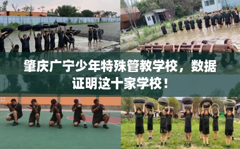 肇庆广宁少年特殊管教学校，数据证明这十家学校！