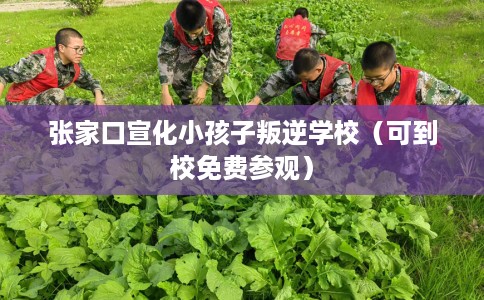 张家口宣化小孩子叛逆学校（可到校免费参观）