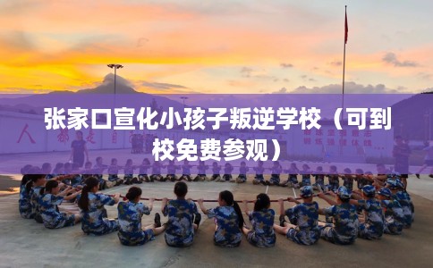 张家口宣化小孩子叛逆学校（可到校免费参观）