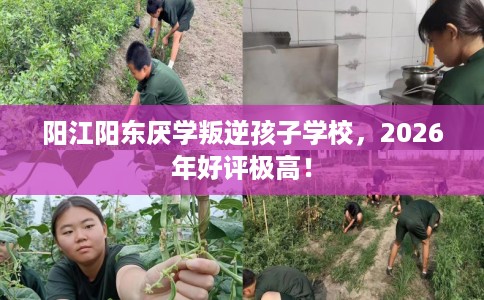 阳江阳东厌学叛逆孩子学校，2026年好评极高！