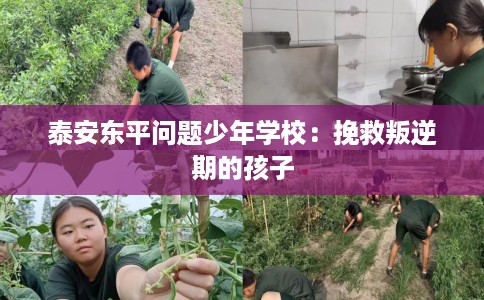 泰安东平问题少年学校：挽救叛逆期的孩子