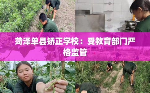 菏泽单县矫正学校：受教育部门严格监管
