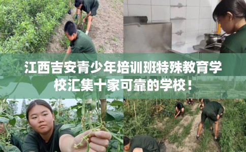 江西吉安青少年培训班特殊教育学校汇集十家可靠的学校！