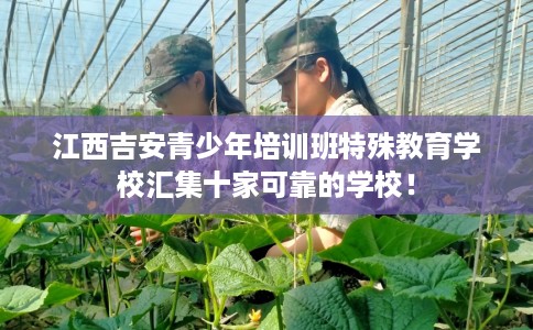 江西吉安青少年培训班特殊教育学校汇集十家可靠的学校！
