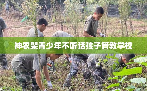 神农架青少年不听话孩子管教学校