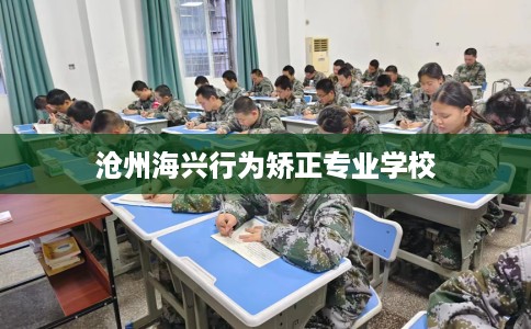 沧州海兴行为矫正专业学校