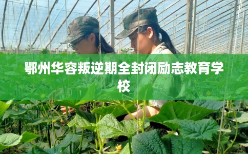 鄂州华容叛逆期全封闭励志教育学校