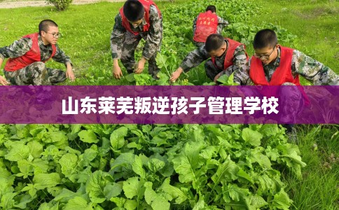 山东莱芜叛逆孩子管理学校