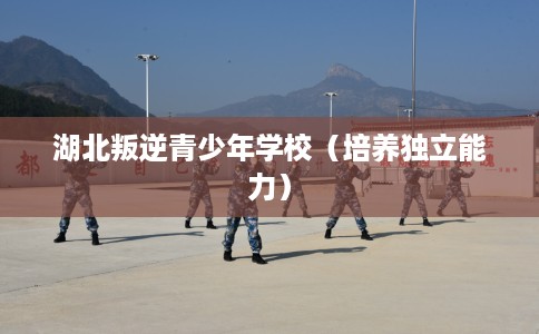 湖北叛逆青少年学校（培养独立能力）