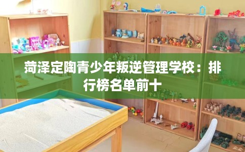 菏泽定陶青少年叛逆管理学校：排行榜名单前十