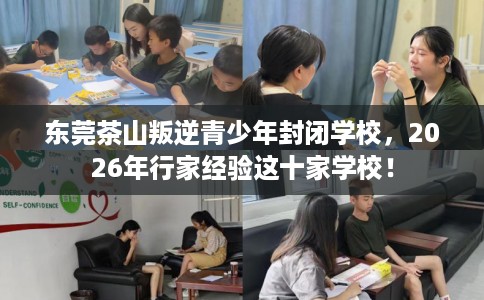 东莞茶山叛逆青少年封闭学校，2026年行家经验这十家学校！