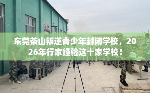 东莞茶山叛逆青少年封闭学校，2026年行家经验这十家学校！