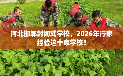 河北邯郸封闭式学校，2026年行家经验这十家学校！