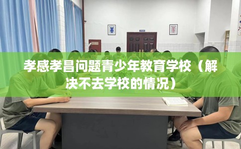 孝感孝昌问题青少年教育学校（解决不去学校的情况）