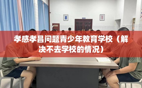 孝感孝昌问题青少年教育学校（解决不去学校的情况）