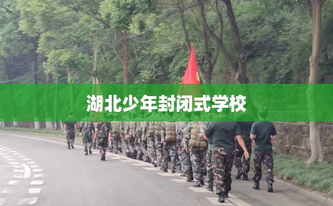 湖北少年封闭式学校