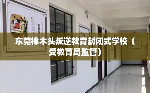 东莞樟木头叛逆教育封闭式学校（受教育局监管）