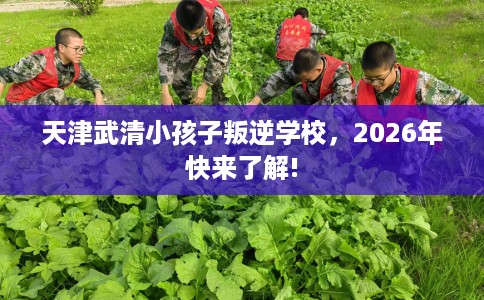 天津武清小孩子叛逆学校，2026年快来了解!