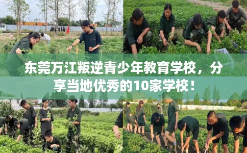 东莞万江叛逆青少年教育学校，分享当地优秀的10家学校！