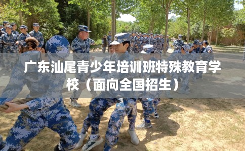 广东汕尾青少年培训班特殊教育学校（面向全国招生）