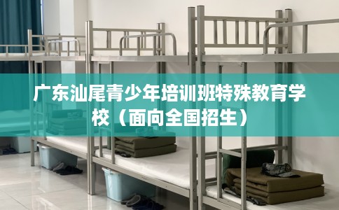 广东汕尾青少年培训班特殊教育学校（面向全国招生）