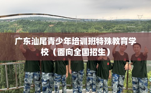 广东汕尾青少年培训班特殊教育学校（面向全国招生）