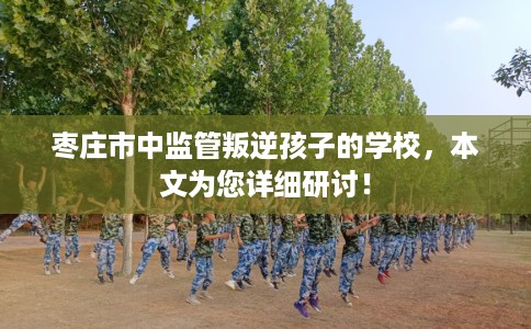 枣庄市中监管叛逆孩子的学校，本文为您详细研讨！