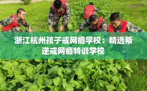 浙江杭州孩子戒网瘾学校：精选叛逆戒网瘾特训学校