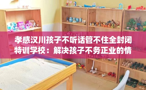 孝感汉川孩子不听话管不住全封闭特训学校：解决孩子不务正业的情况