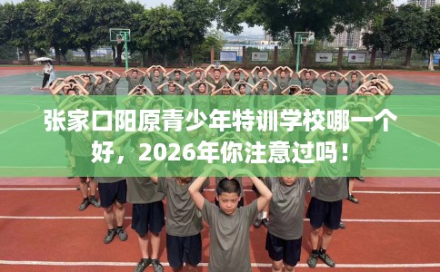 张家口阳原青少年特训学校哪一个好，2026年你注意过吗！