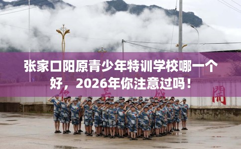 张家口阳原青少年特训学校哪一个好，2026年你注意过吗！