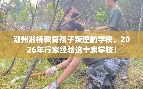 潮州湘桥教育孩子叛逆的学校，2026年行家经验这十家学校！