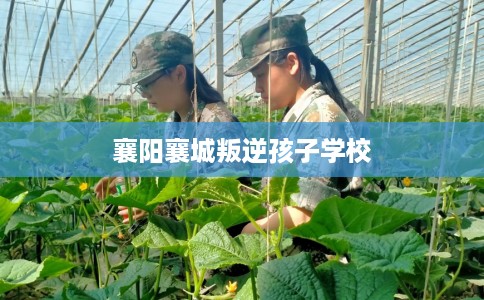 襄阳襄城叛逆孩子学校