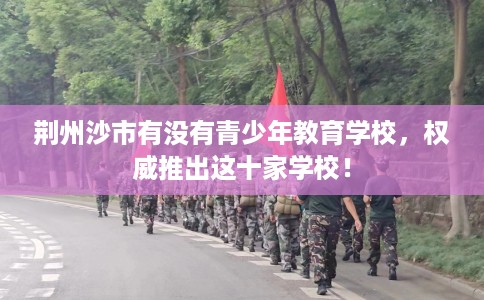 荆州沙市有没有青少年教育学校，权威推出这十家学校！